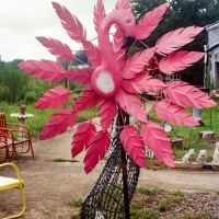 Pink Flamingo by 1982wildcatfan