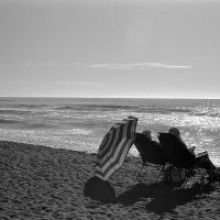 Lazy Sunday - Doran Beach, Bodega Bay, CA by FogdogPhoto