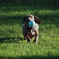 My ball by Terry McDaniel