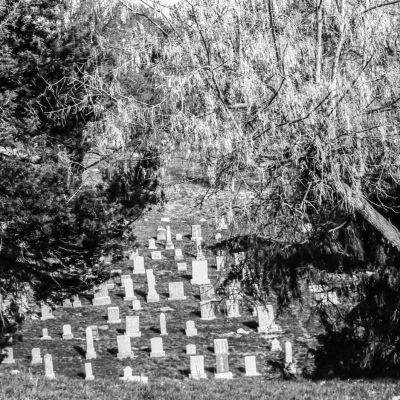 A clearing in the trees