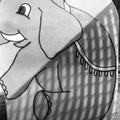 Nellie the Elephant caught in a Net — Ilford Pan 400, developed in Kodak HC-110