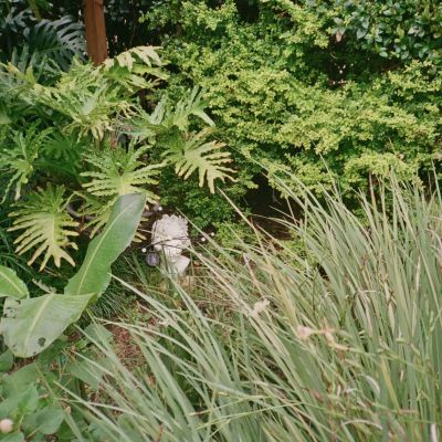 Garden watch