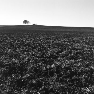 A Plowed Field
