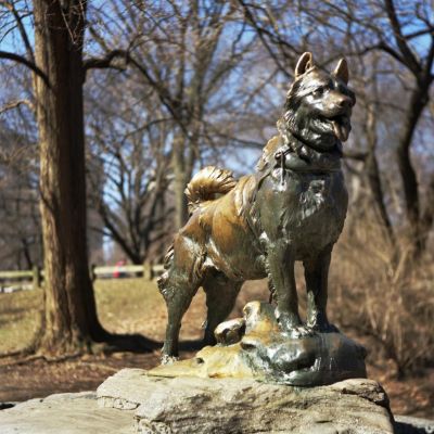 Balto, Central Park, NYC